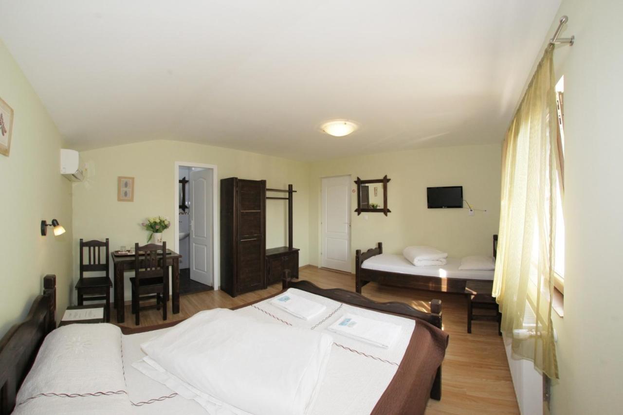 Hotel Casa Oana Iasi Habitación foto